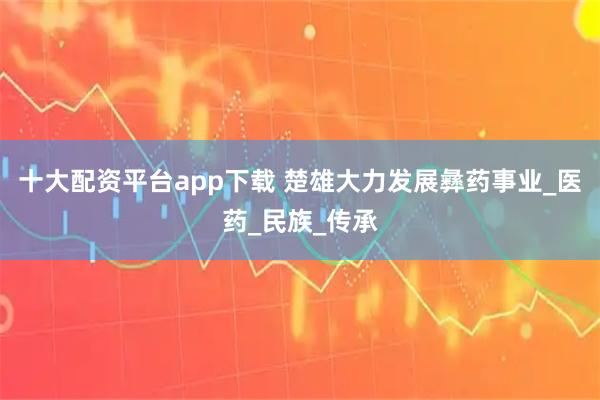 十大配资平台app下载 楚雄大力发展彝药事业_医药_民族_传承