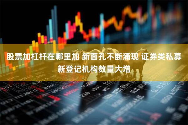 股票加杠杆在哪里加 新面孔不断涌现 证券类私募新登记机构数量大增