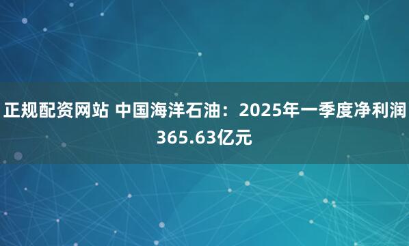 正规配资网站 中国海洋石油：2025年一季度净利润365.63亿元