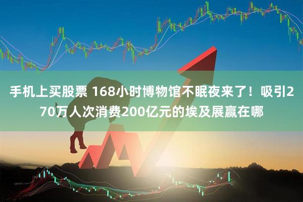 手机上买股票 168小时博物馆不眠夜来了！吸引270万人次消费200亿元的埃及展赢在哪